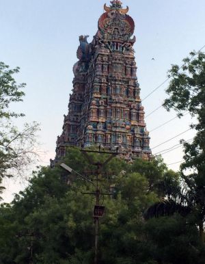 Madurai - Fertile regione agricola fecondata da Shiva